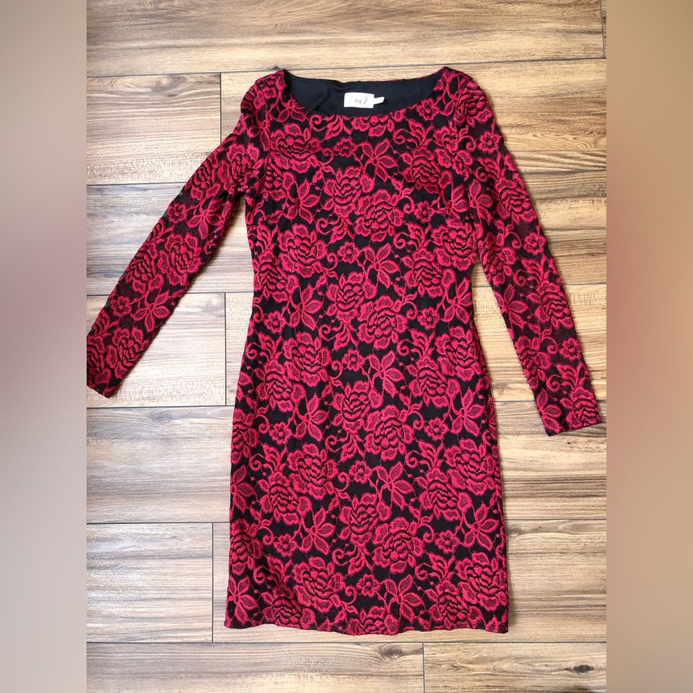 Eliza J EUC red laced embroidered dress